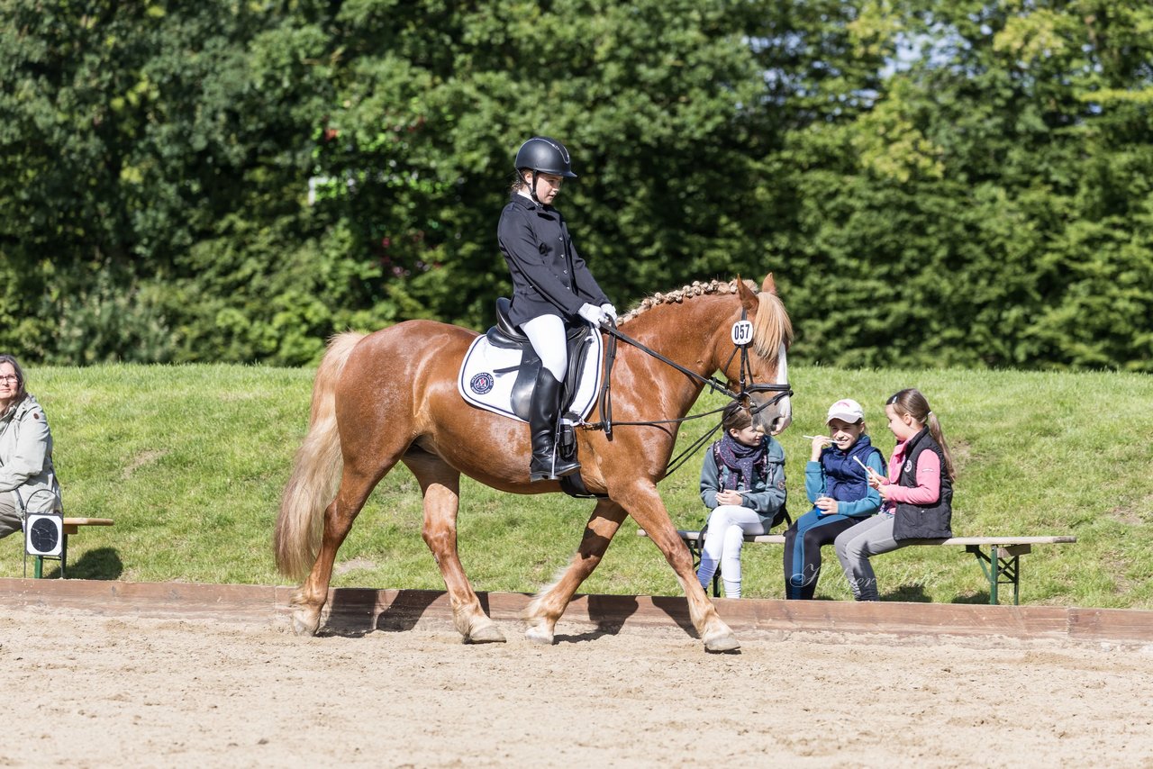 Bild 32 - Pony Akademie Turnier